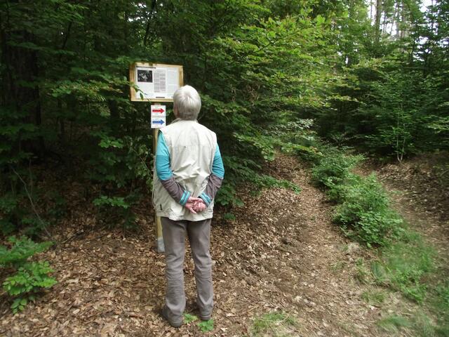 Diese Tafel informiert über den hier vor 250 Jahren blühenden Kaffeeschmuggel.