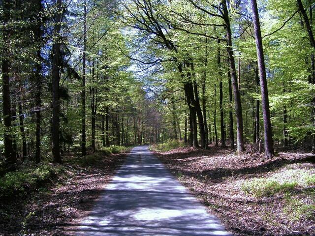 Auf dem historischen "Rennweg" geht es zum Nadelöhr.