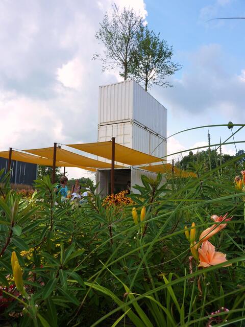 Hochstapelei mit Bäumen
