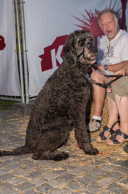 Kulturina 2013 Gersthofen - Streiflichter vom Festausklang am Sonntagabend.
