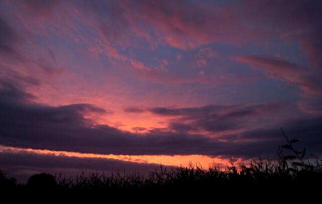 Herrlich anzusehen war auch dieses Himmelsschauspiel am "Krebsscherenteich", jedoch  fügten sich die Farben des Abendhimmels zwei Tage später zu einer vollkommen anderen, beeindruckenden Farbsymphonie über dem Maisfeld zusammen.