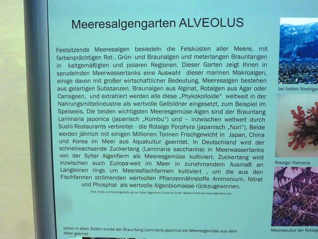 Info für das nächste Bild