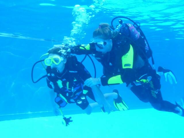 Schnuppertauchen mit den Friesentauchern in Zusammenarbeit mit dem Tauchclub Altwarmbüchen e.V. im Freibad Hänigsen am 6. August 2013
