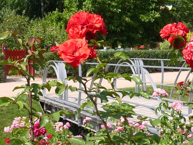 Am Rosenboulevard