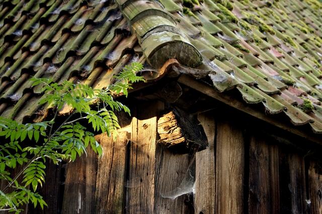 Malerische Ecken und Winkel werden entdeckt. Die alten Gebäude sind vielfach mit Spinnennetzen überzogen...