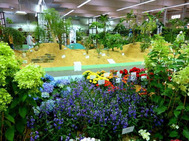 So sieht es in der Blumenhalle aus.
