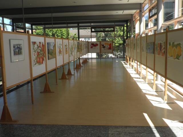 großzügige Ausstellungsflächen