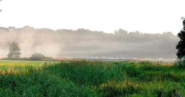 Erntestaub liegt über der Landschaft.