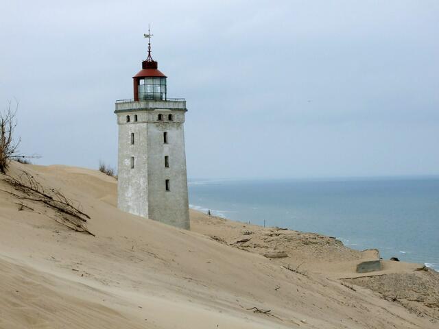 Sanddüne Rubjerg-Dänemark