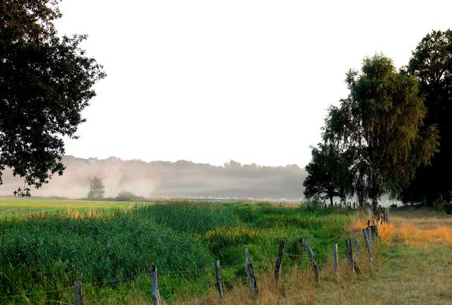 Blick in die Wietzeaue.