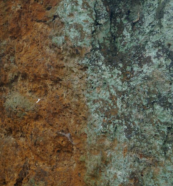 Raseneisenstein - Sonnen- und Nordseite.