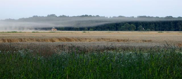 Fast konnte man an Nebel glauben.