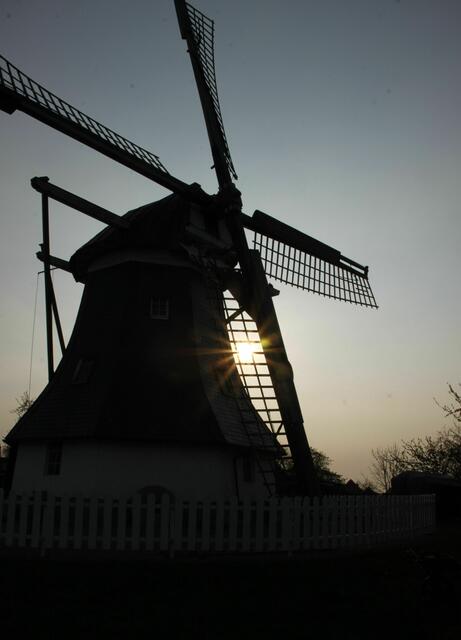 Werdumer Mühle im Abendlicht