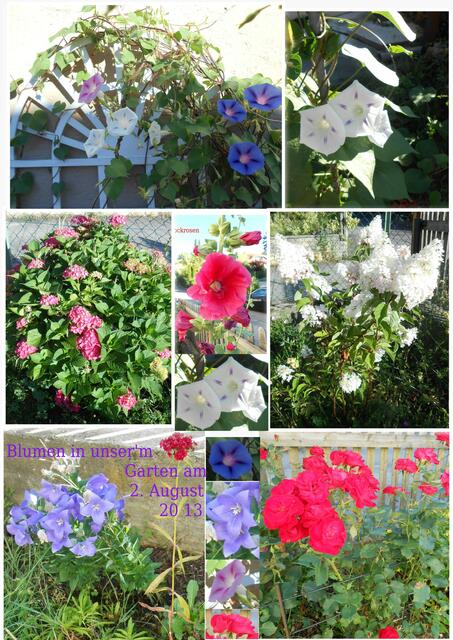 Meine schönsten Blumen im Garten