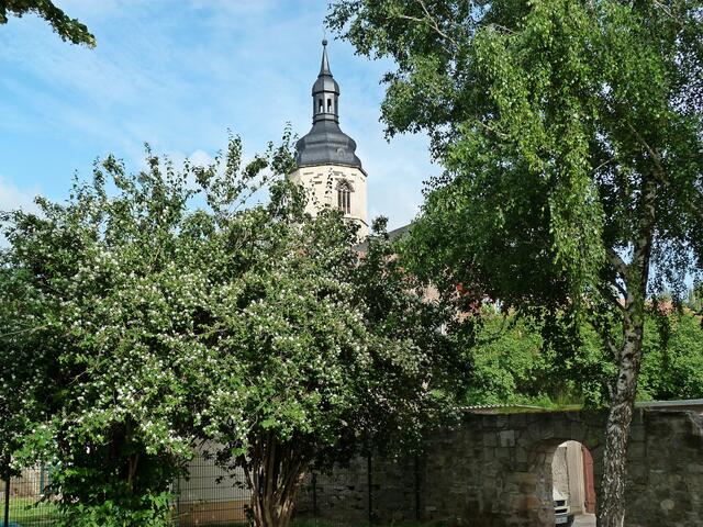 Kirche zu Laucha