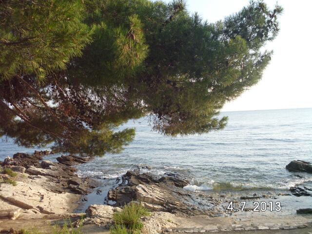 Sommerbilder