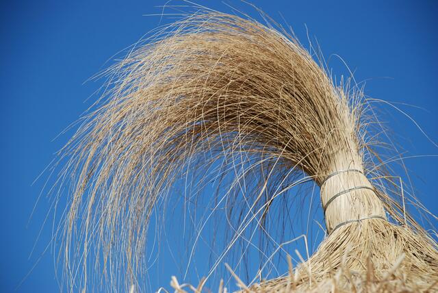 Urlaub pur