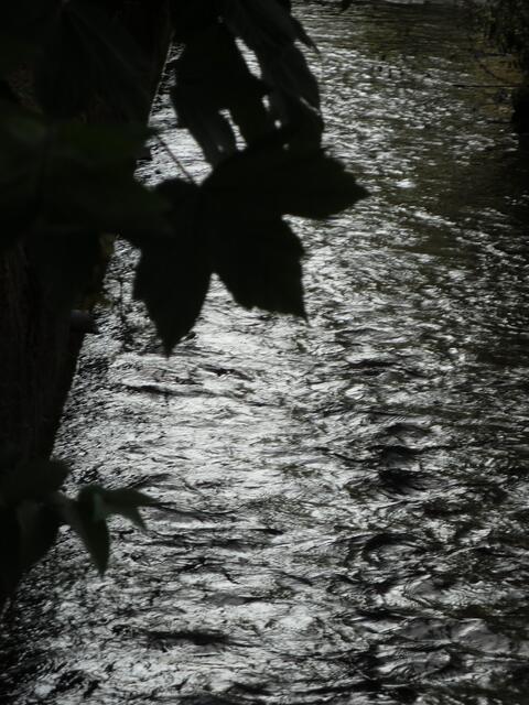 An der Wabe