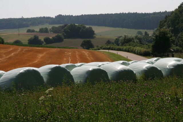 Der Sommer ist vorbei.... die Ernte steht an....