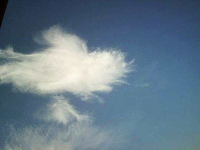 Herzwolke.