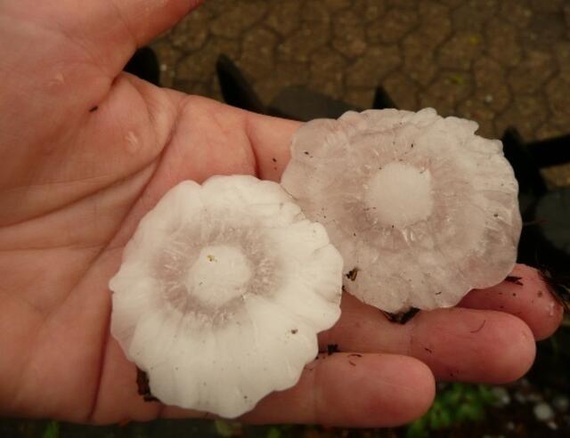 Eisbomben in Blumenform im Hochsommer