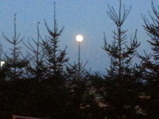 Der Mond mal anders ,als Stehlampe ?