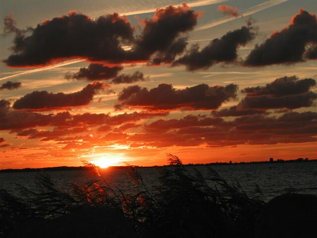 Sommerabend in Schapprode