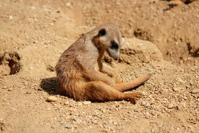 Mir ist warm und langweilig...