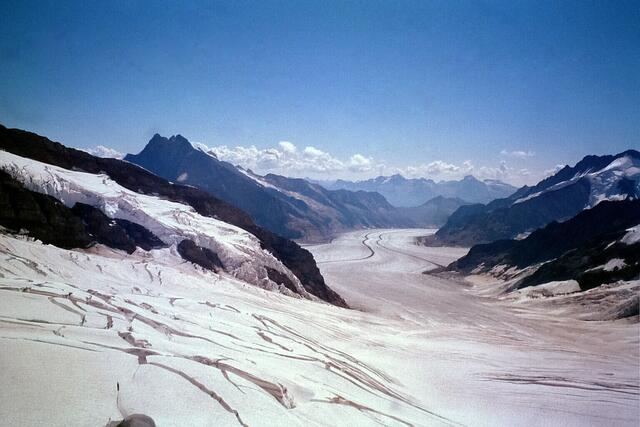 Aletschgletscher in der Schweiz