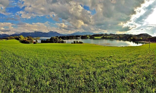 Panoramablick über den Forggensee