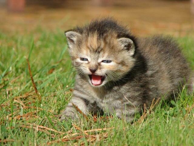 Mamiiiii wo bist du????