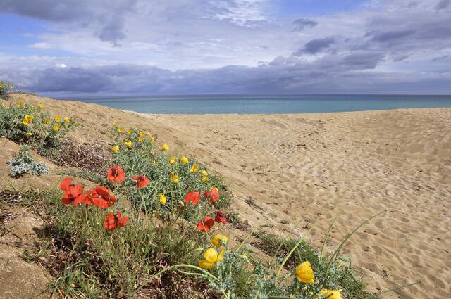 Einsamer Strand in Korsika