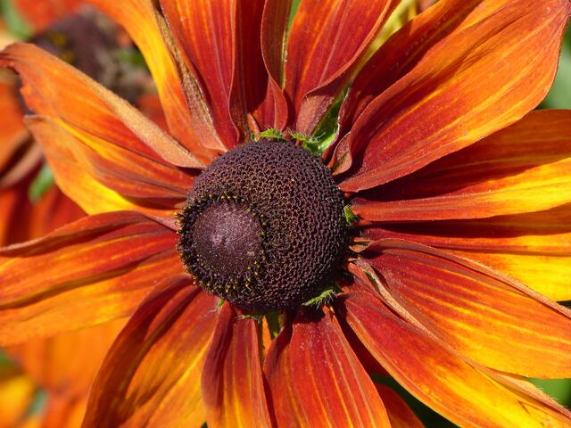 Die Sonne scheint