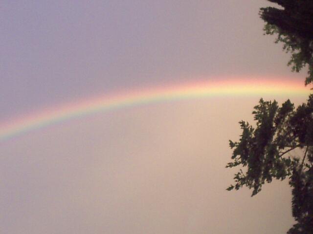 Ein Regenbogen, Zeichen der Hoffnung