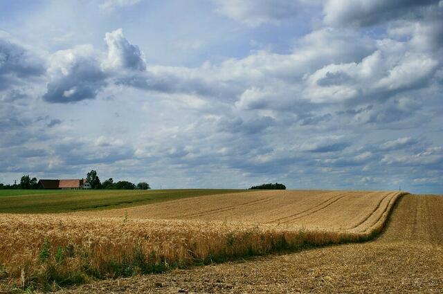 Sommerzeit