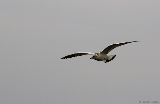 Vorbeiflug III