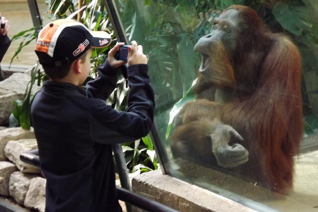 Zoobesuch in Hannover