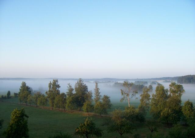 Morgenstimmung