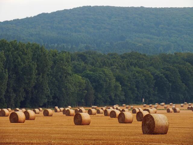 Nach der Ernte bei Bredenbeck