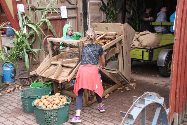Spaß an der Kartoffellesemaschine