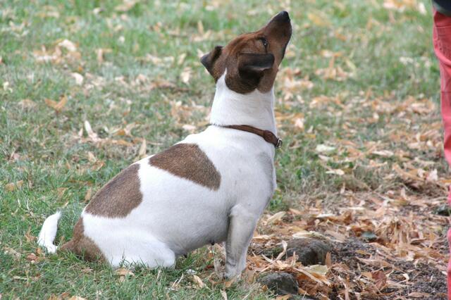 Und überall riecht es sooo gut...