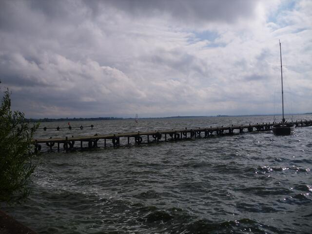 . . . am Dümmer See . . .