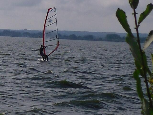 . . . ein Surfer auf dem Dümmer See . . .