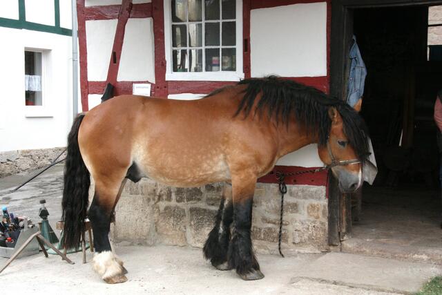 Er bekommt gleich eine Pediküre