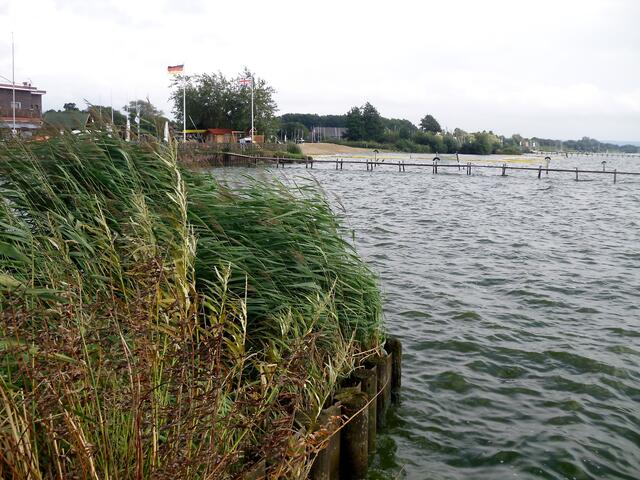 . . . am idyllischen Dümmer See in Lembruch . . .