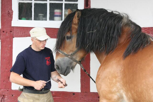 Zwiesprache zur Beruhigung...