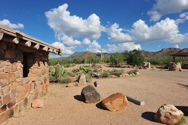 Passend zum Sommerhit: ein Foto vom Saguaro NP von 2010