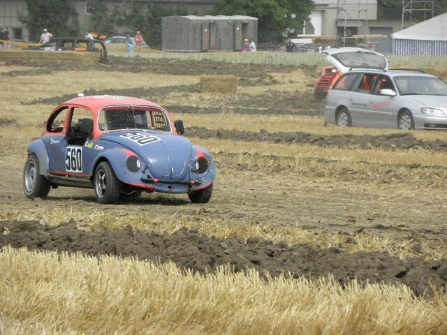 Käfer ganz alleine.......