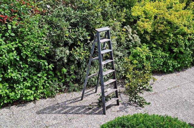 Irgendwann muss auch eine offene Hecke ein wenig gestutzt werden ...