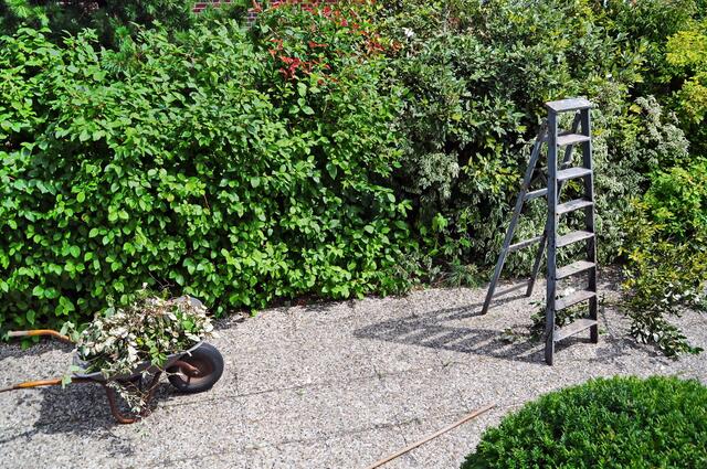 Die Schubkarre steht schon bereit ...